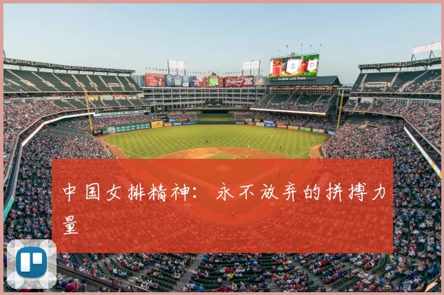 中国女排精神:永不放弃的拼搏力量