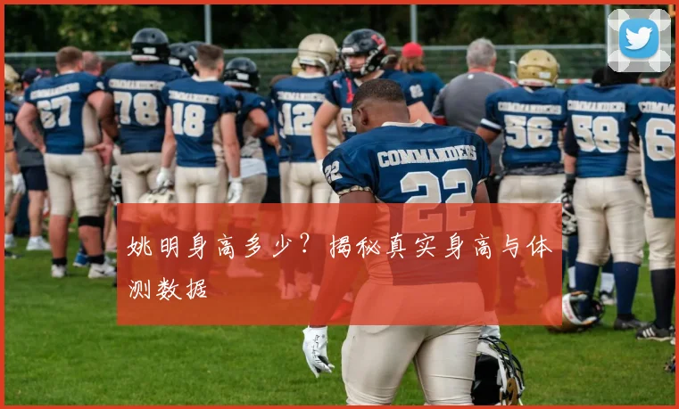 姚明身高多少?揭秘真实身高与体测数据